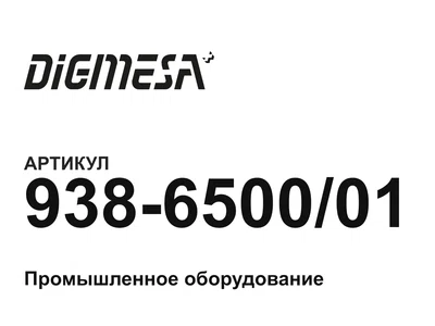 938650001 Digmesa