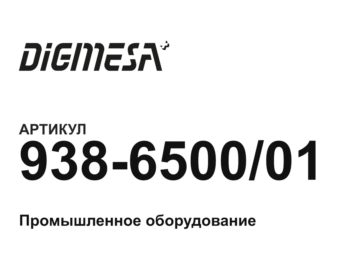 938650001 Digmesa