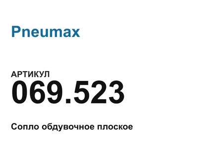 069523 Pneumax