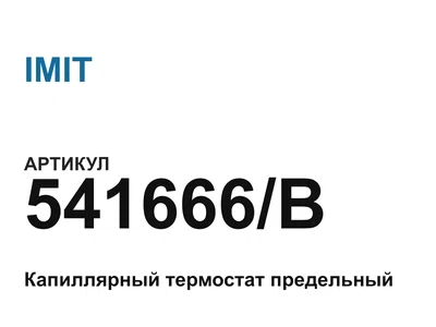 541666B IMIT
