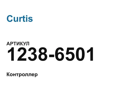 12386501 Curtis