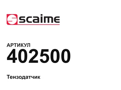 402500 SCAIME