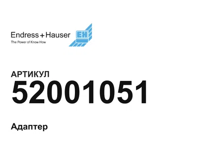 52001051 Endress+Hauser