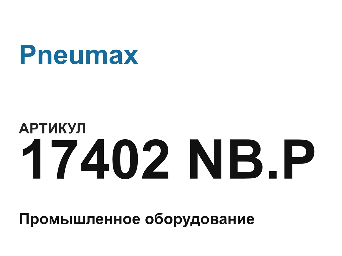 17402NBP Pneumax