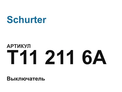 T112116A Schurter