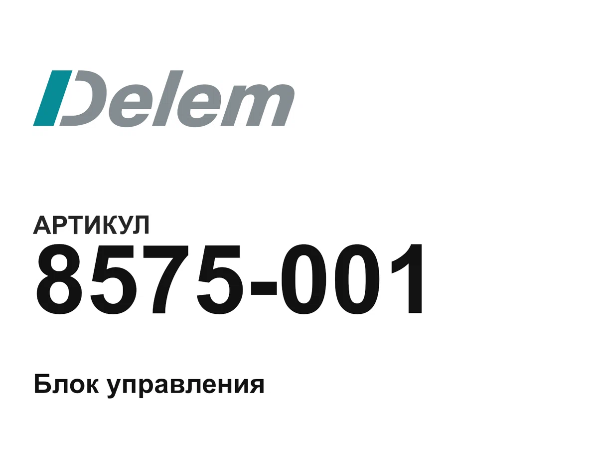 8575001 Delem