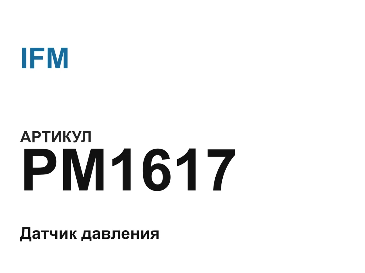 PM1617 IFM