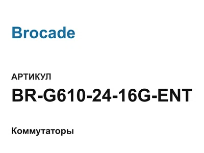 BRG6102416GENT Brocade