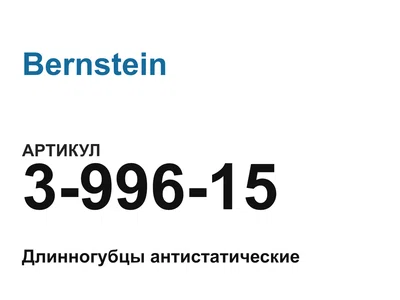 399615 Bernstein
