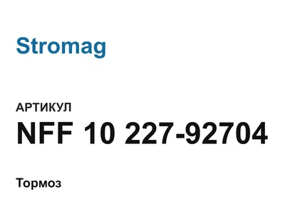 NFF1022792704 Stromag