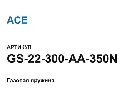 GS22300AA350N ACE