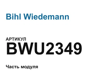 BWU2349 Bihl Wiedemann