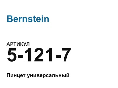 51217 Bernstein