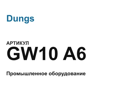 GW10A6 Dungs