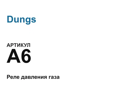 A6 Dungs