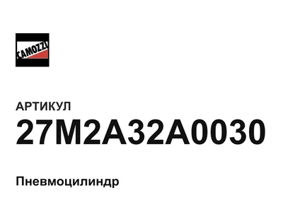 27M2A32A0030 Camozzi