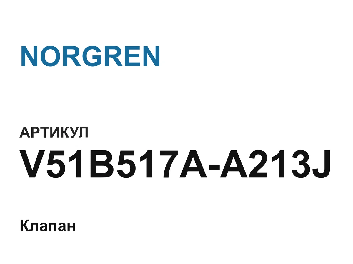 V51B517AA213J NORGREN