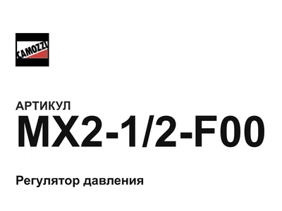MX212F00 Camozzi
