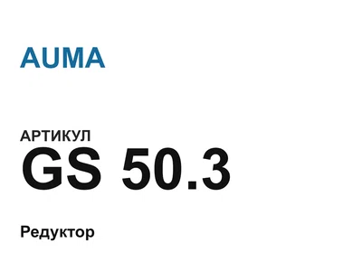 GS503 AUMA