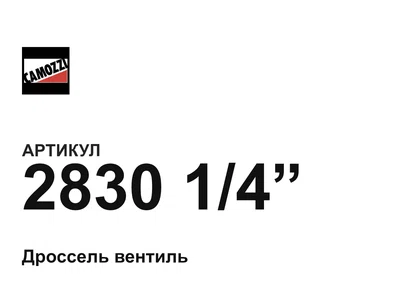 283014 Camozzi