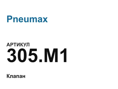 305M1 Pneumax
