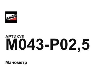M043P025 Camozzi