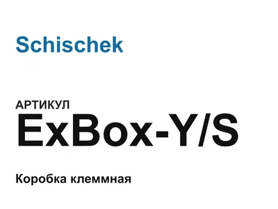 ExBoxYS Schischek