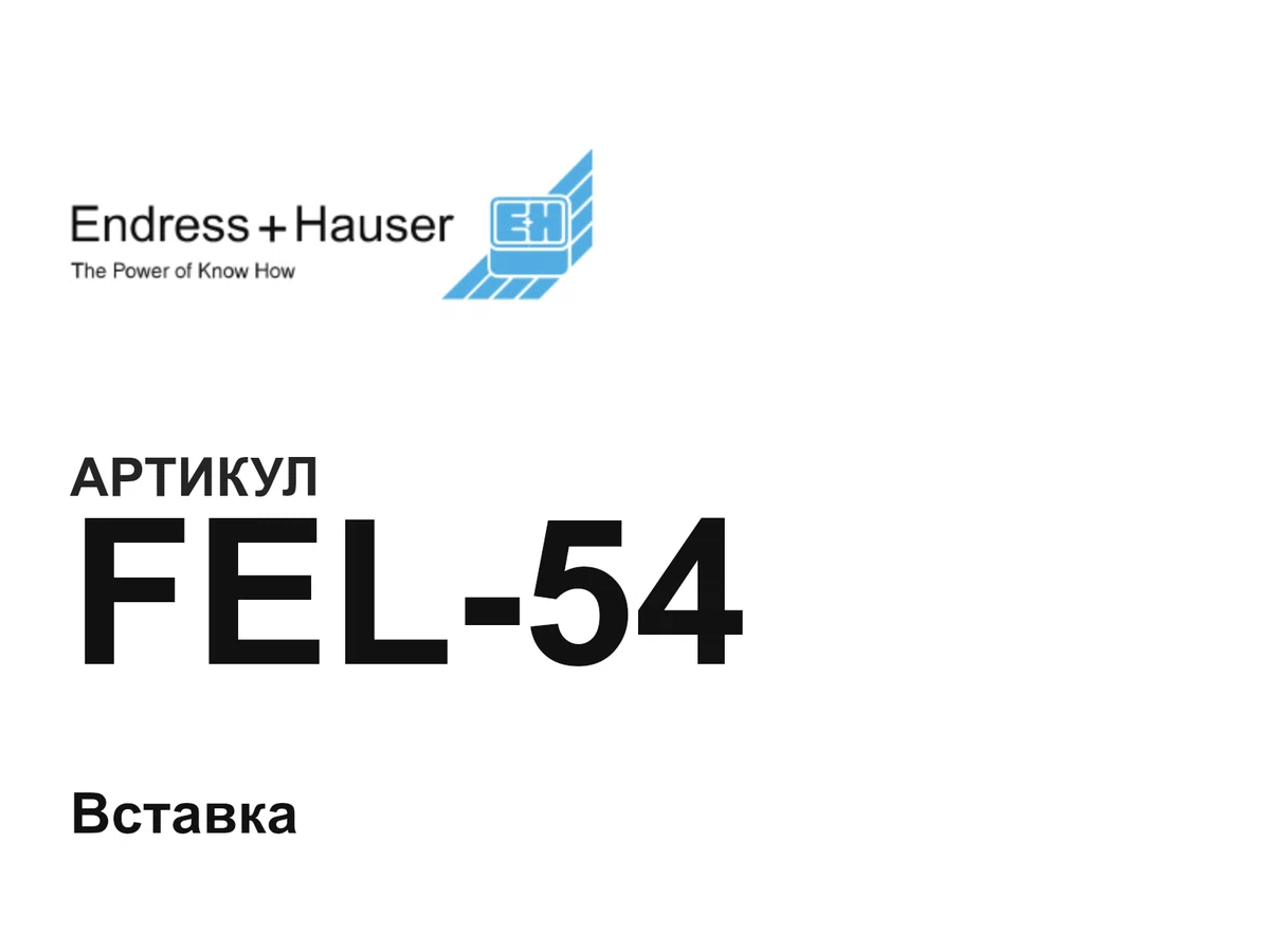 FEL54 Endress+Hauser