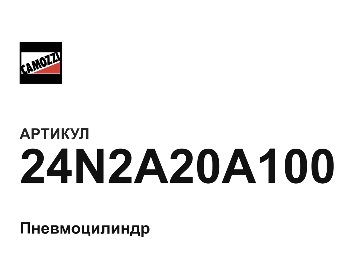 24N2A20A100 Camozzi
