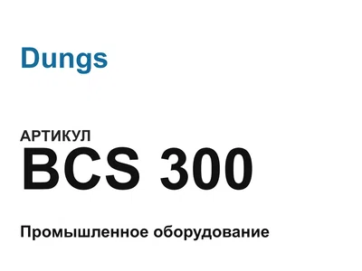 BCS300 Dungs