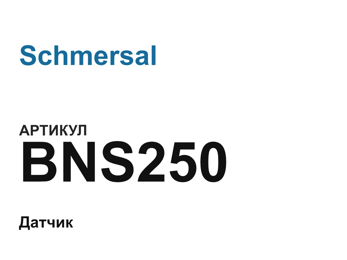 BNS250 Schmersal