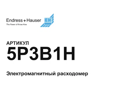 5P3B1H Endress+Hauser