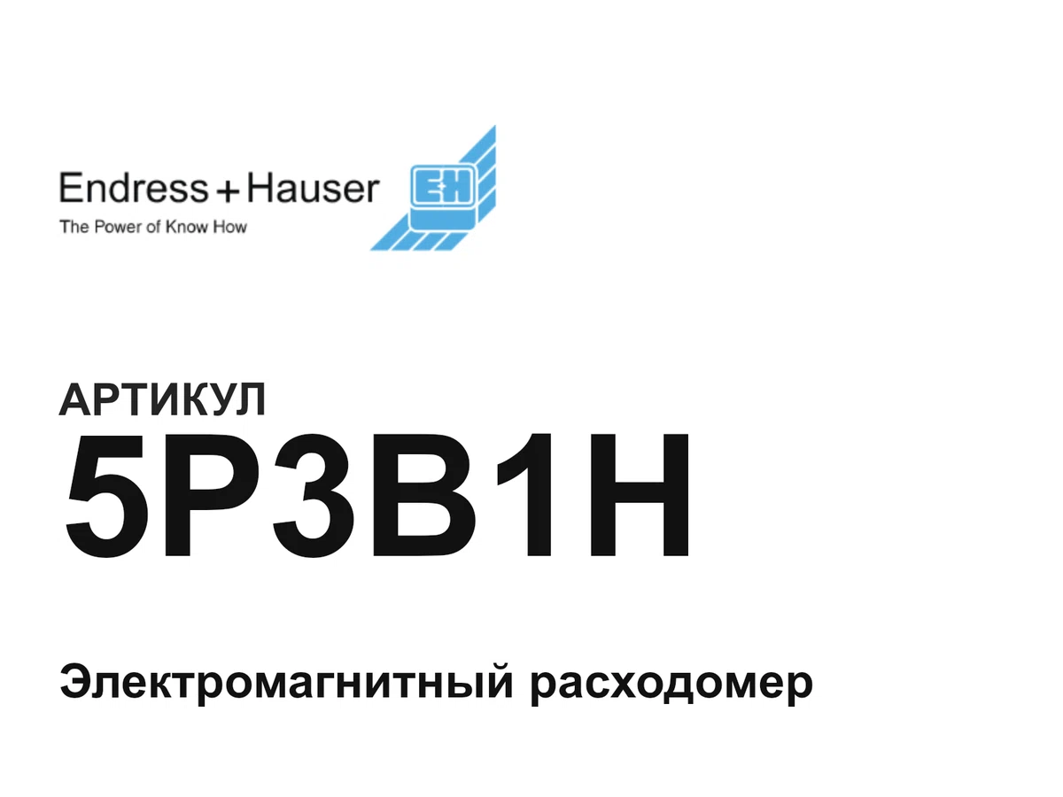 5P3B1H Endress+Hauser