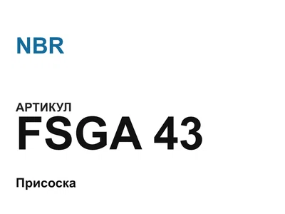 FSGA43 NBR