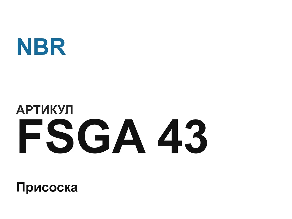 FSGA43 NBR