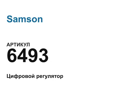 6493 Samson