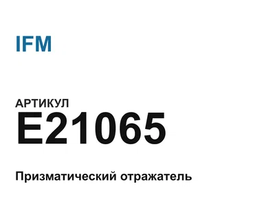 E21065 IFM