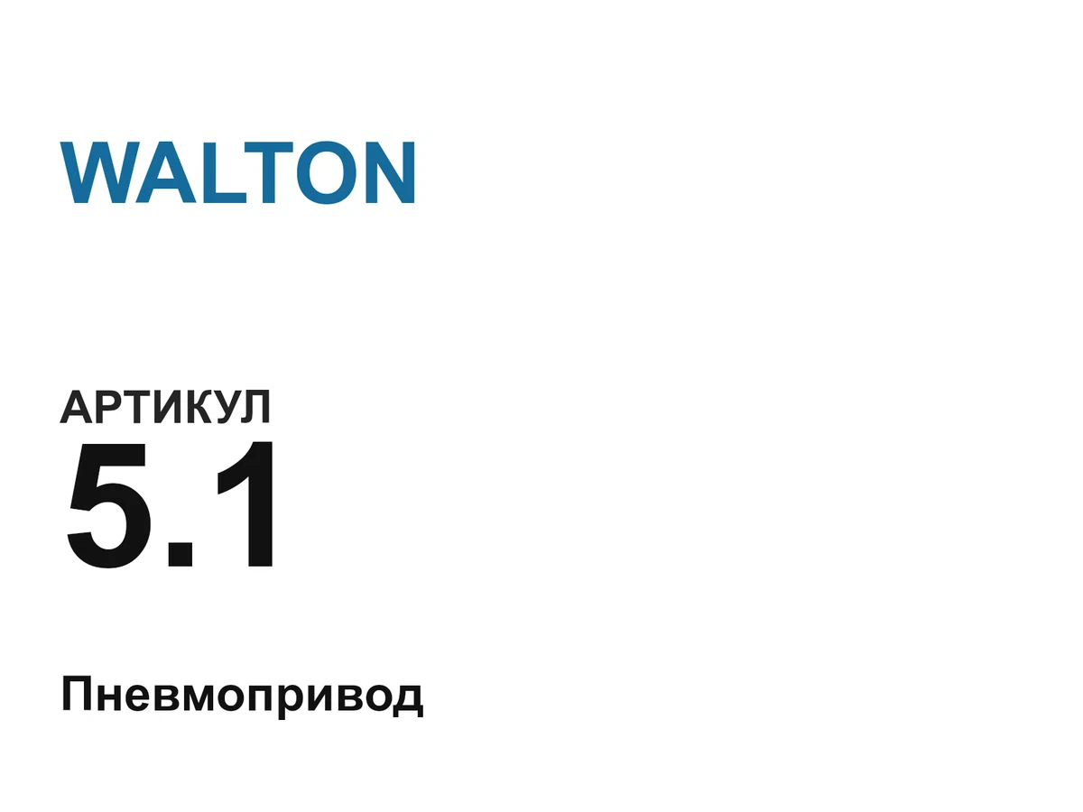51 WALTON