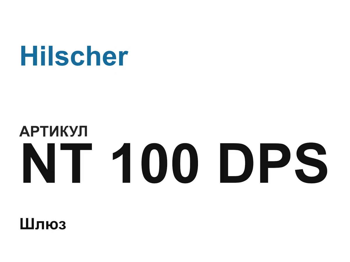 NT100DPS Hilscher