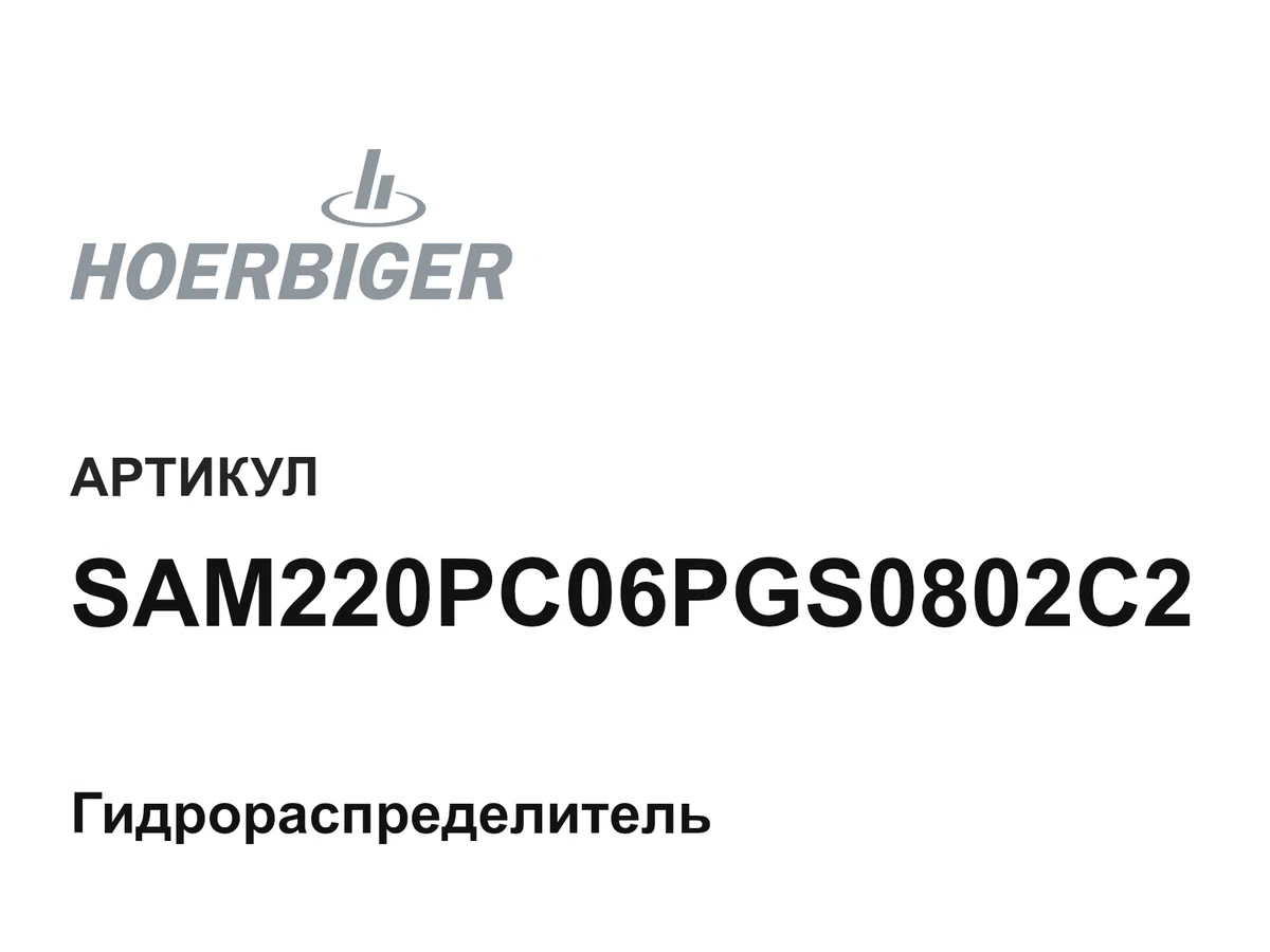 SAM220PC06PGS0802C2 HOERBIGER