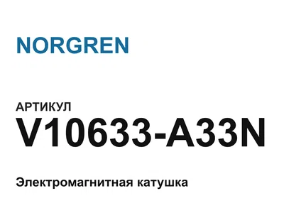 V10633A33N NORGREN