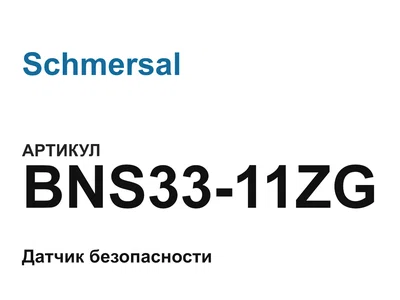 BNS3311ZG Schmersal