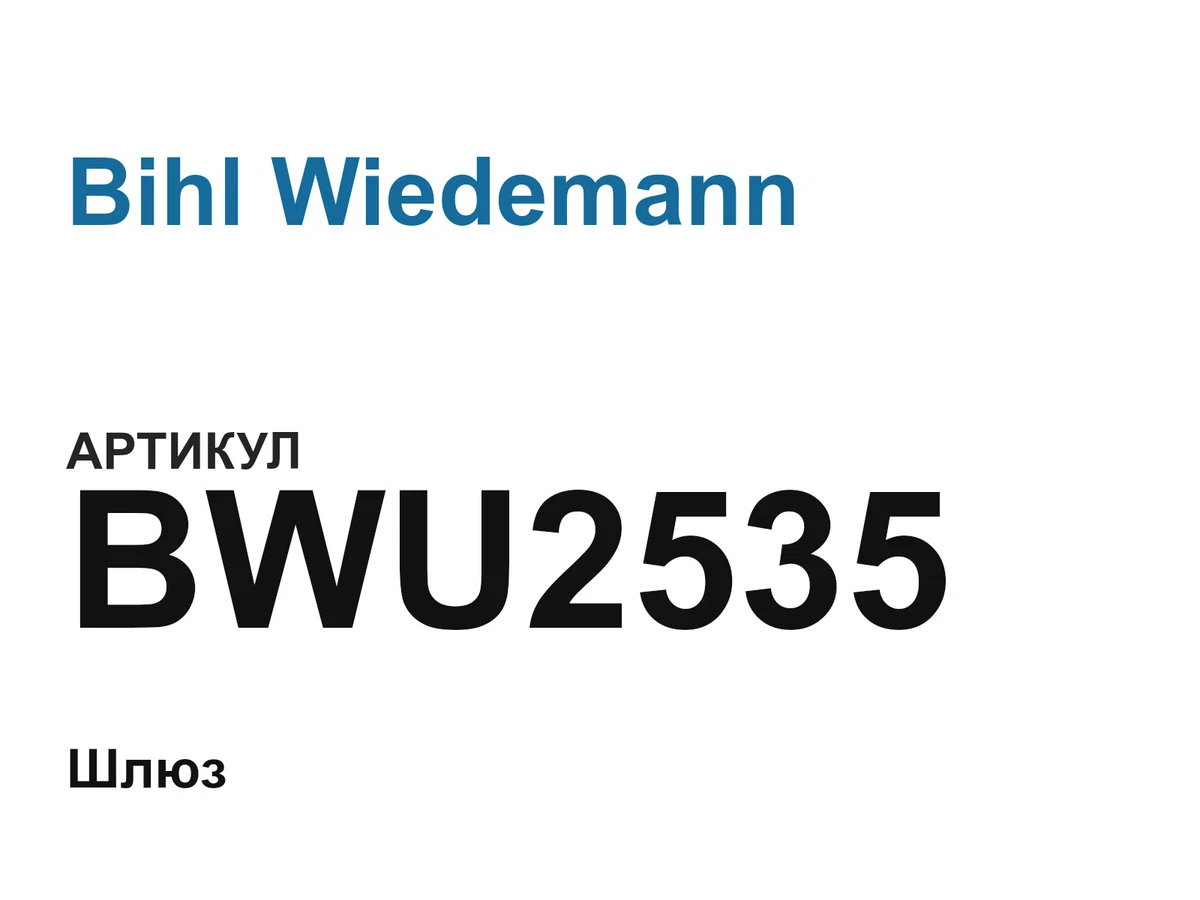 BWU2535 Bihl Wiedemann