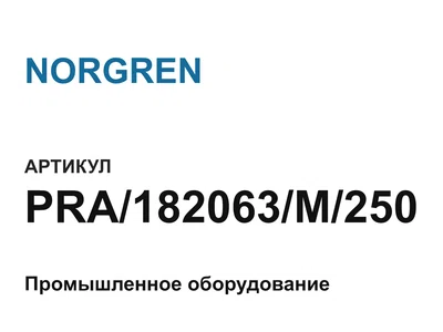 PRA182063M250 NORGREN