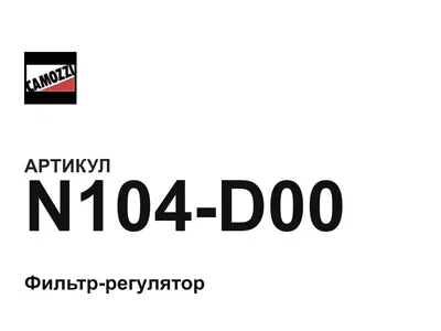 N104D00 Camozzi