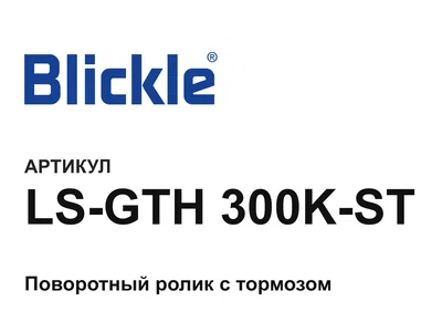 LSGTH300KST Blickle