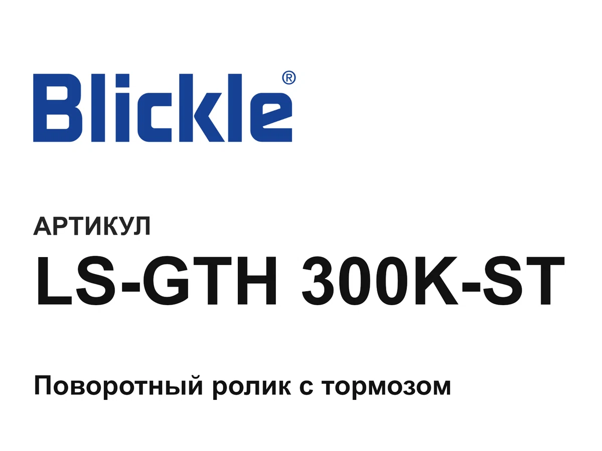 LSGTH300KST Blickle