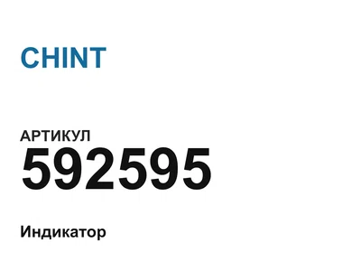 592595 CHINT