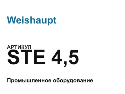STE45 Weishaupt