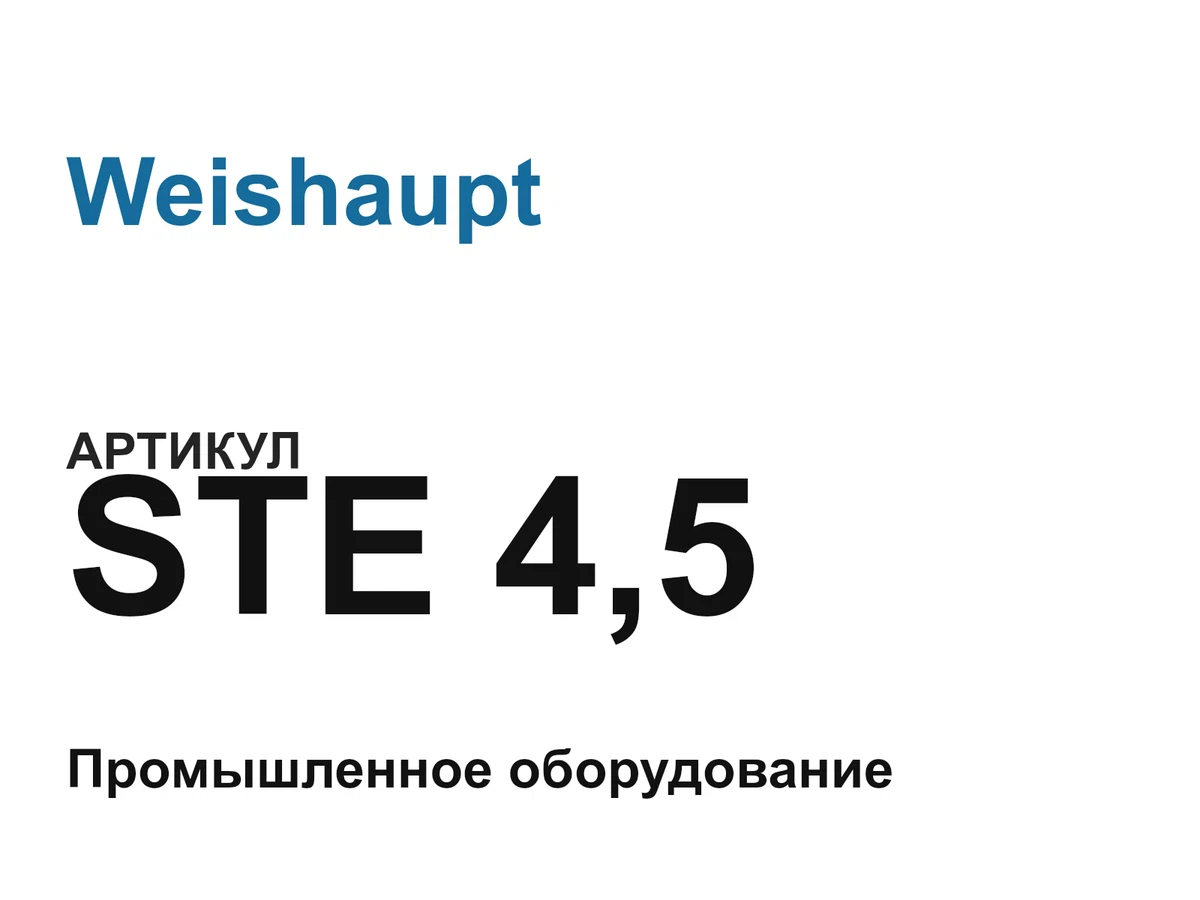 STE45 Weishaupt